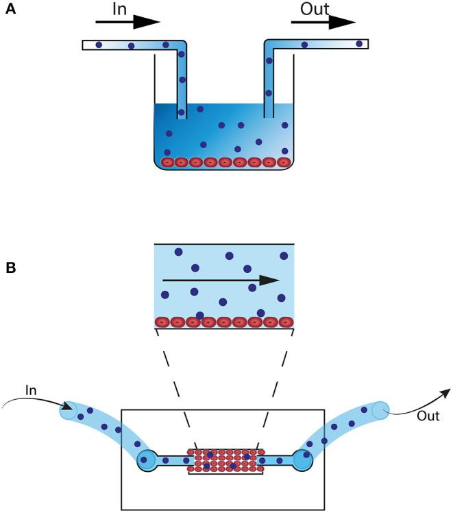https://cdn.ncbi.nlm.nih.gov/pmc/blobs/c11b/7921837/4681a4270fa5/fimmu-12-607953-g0001.jpg