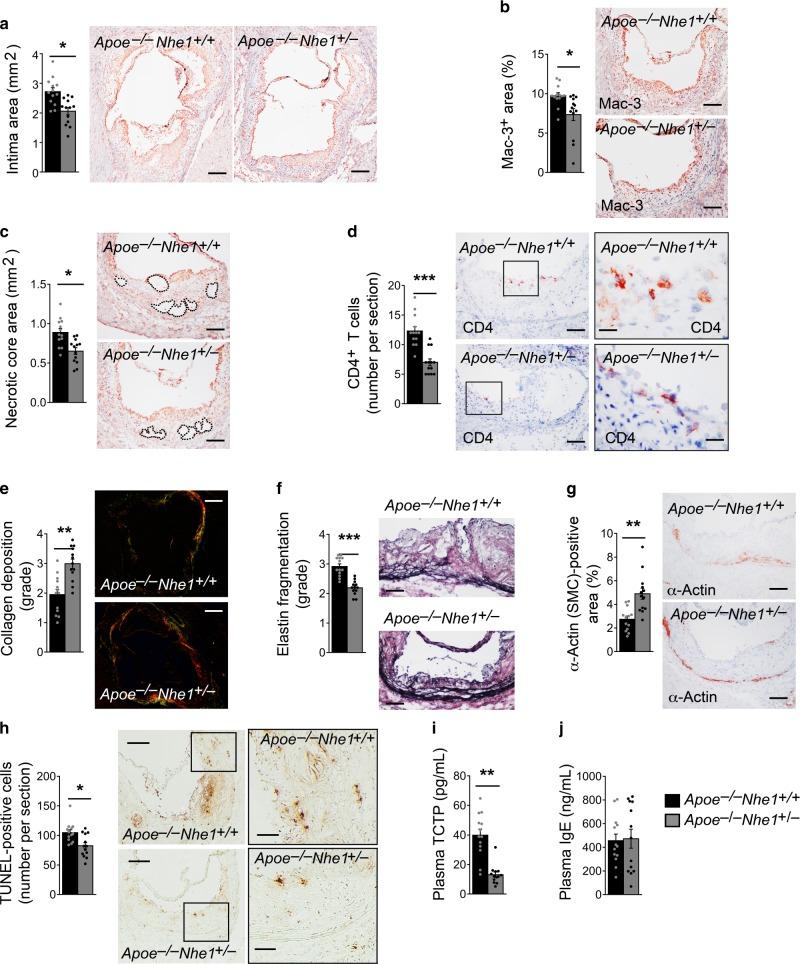https://cdn.ncbi.nlm.nih.gov/pmc/blobs/c121/6726618/4a198210de32/41467_2019_11983_Fig2_HTML.jpg