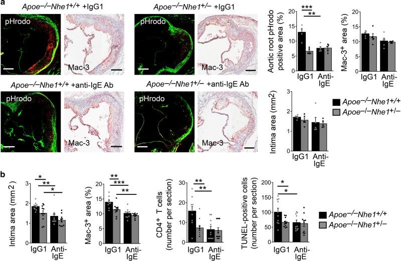 https://cdn.ncbi.nlm.nih.gov/pmc/blobs/c121/6726618/cd9202bc41ae/41467_2019_11983_Fig6_HTML.jpg