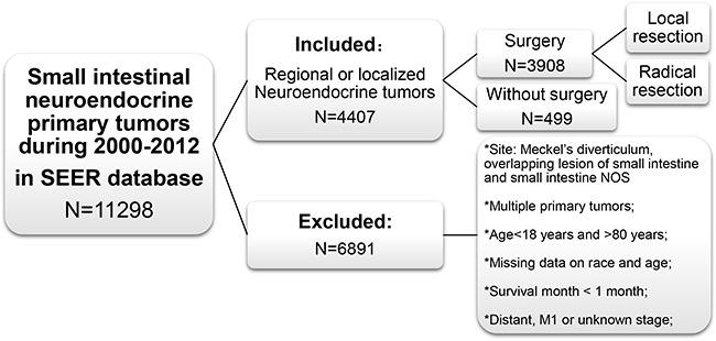 https://cdn.ncbi.nlm.nih.gov/pmc/blobs/c123/5354882/b050dee10647/oncotarget-08-4935-g006.jpg