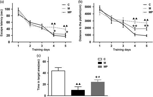 https://cdn.ncbi.nlm.nih.gov/pmc/blobs/c125/5802258/51819a7915bf/wnr-29-153-g002.jpg