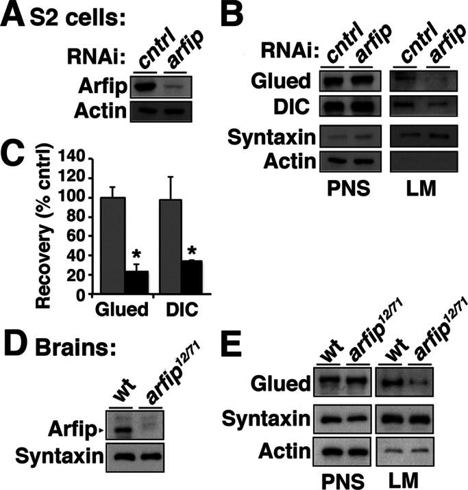 https://cdn.ncbi.nlm.nih.gov/pmc/blobs/c126/3667727/d42116ce1c96/1749fig8.jpg