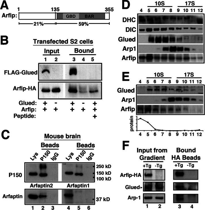 https://cdn.ncbi.nlm.nih.gov/pmc/blobs/c126/3667727/f8db7c0f7a1d/1749fig3.jpg