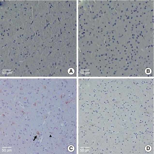 https://cdn.ncbi.nlm.nih.gov/pmc/blobs/c127/6453795/b3faea755ee5/ceo-2018-00983f4.jpg
