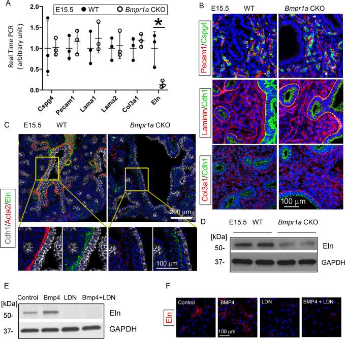 https://cdn.ncbi.nlm.nih.gov/pmc/blobs/c128/11164533/d53f1f4210ec/elife-91876-fig3.jpg