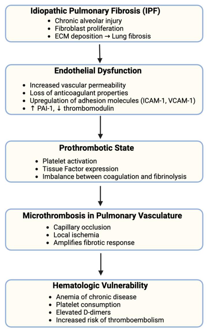 https://cdn.ncbi.nlm.nih.gov/pmc/blobs/c128/12347365/2481772163a0/jcm-14-05229-g001.jpg