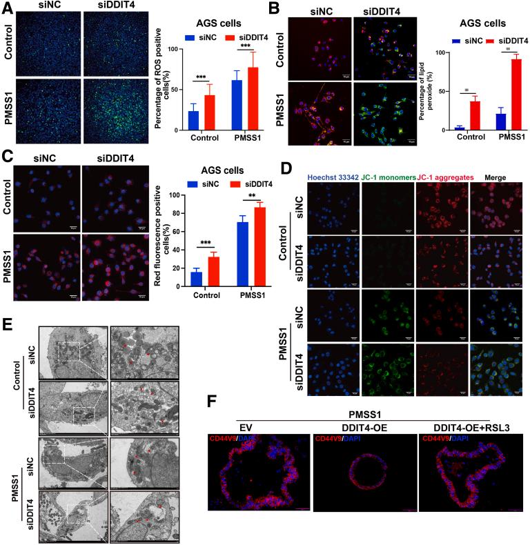 https://cdn.ncbi.nlm.nih.gov/pmc/blobs/c129/11937681/1623f72942d5/gr9.jpg