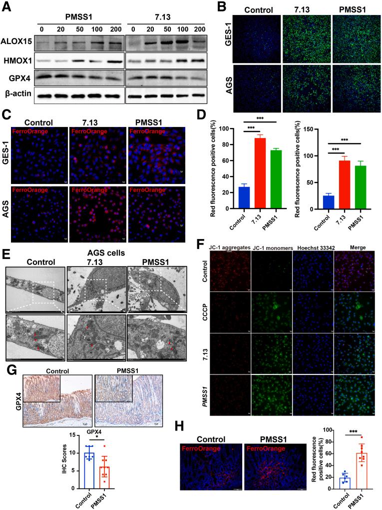 https://cdn.ncbi.nlm.nih.gov/pmc/blobs/c129/11937681/1a38626fd29e/gr7.jpg