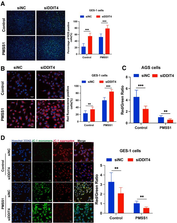 https://cdn.ncbi.nlm.nih.gov/pmc/blobs/c129/11937681/1ae173d808de/gr10.jpg