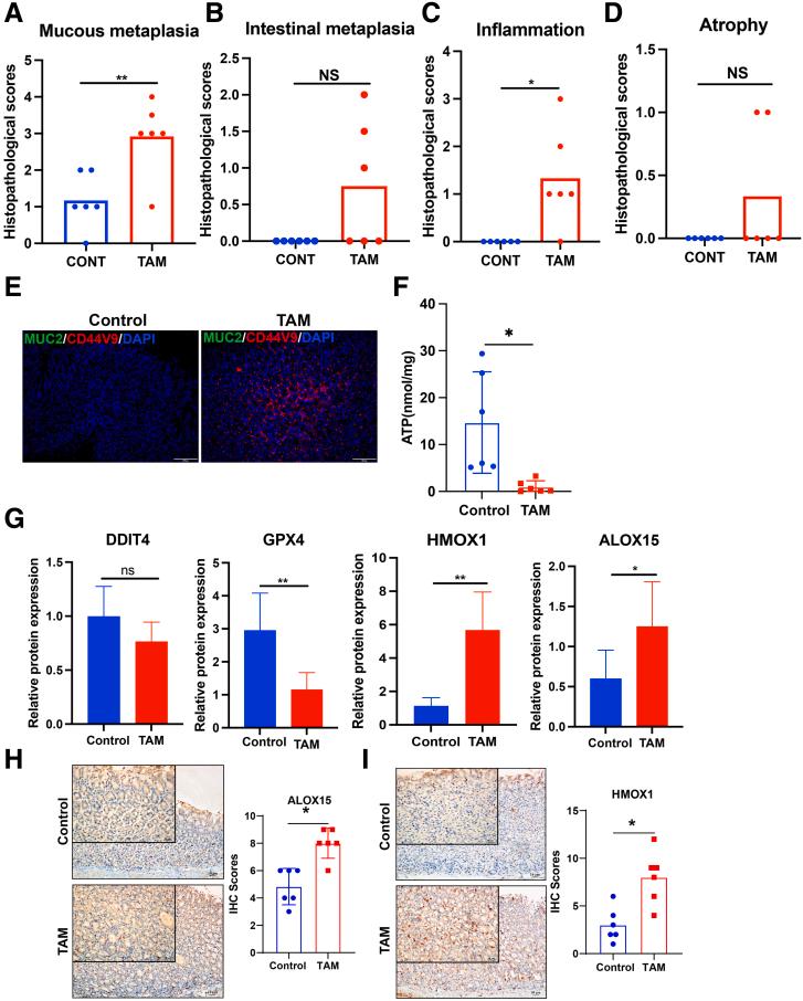 https://cdn.ncbi.nlm.nih.gov/pmc/blobs/c129/11937681/22b59bbe002f/gr13.jpg