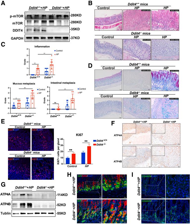 https://cdn.ncbi.nlm.nih.gov/pmc/blobs/c129/11937681/8890026bb621/gr3.jpg