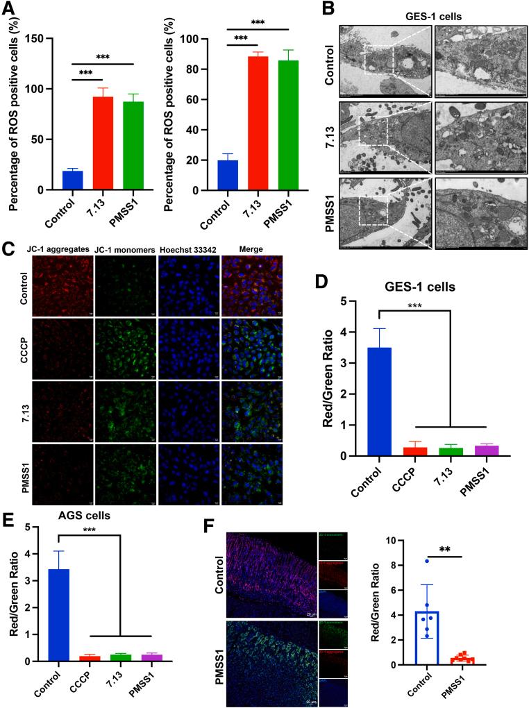 https://cdn.ncbi.nlm.nih.gov/pmc/blobs/c129/11937681/8a648270df7a/gr8.jpg