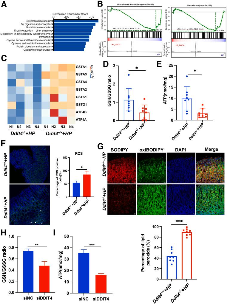 https://cdn.ncbi.nlm.nih.gov/pmc/blobs/c129/11937681/96ab55da4bcf/gr5.jpg