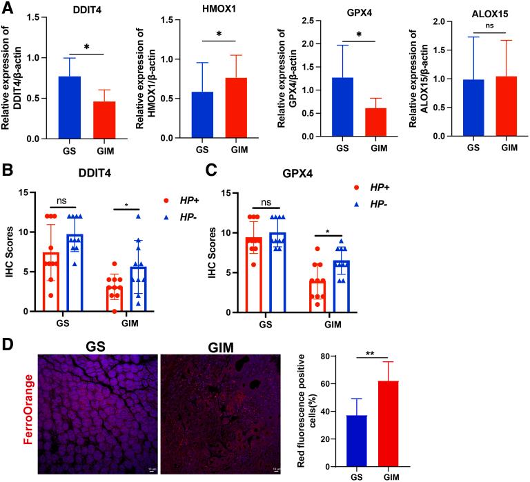 https://cdn.ncbi.nlm.nih.gov/pmc/blobs/c129/11937681/ac26c6245b84/gr15.jpg