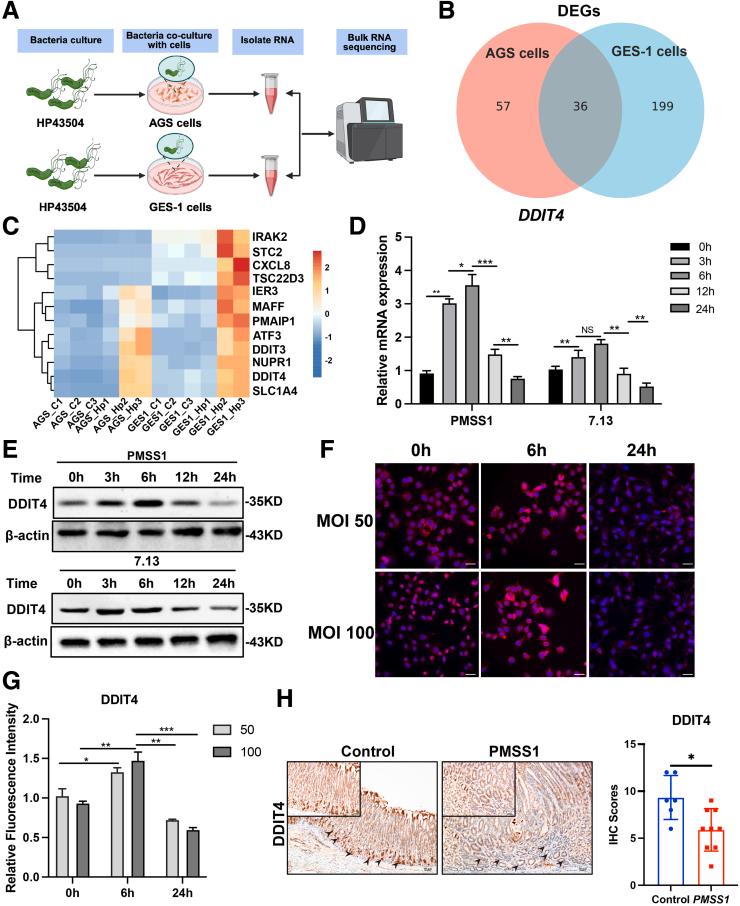 https://cdn.ncbi.nlm.nih.gov/pmc/blobs/c129/11937681/e26f87c5cb9f/gr1.jpg