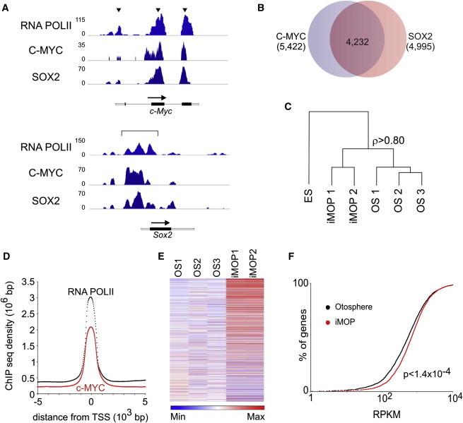 https://cdn.ncbi.nlm.nih.gov/pmc/blobs/c12a/4297878/c1d497d1288e/gr2.jpg