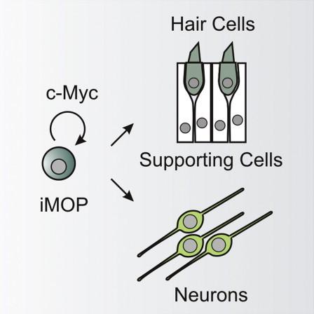 https://cdn.ncbi.nlm.nih.gov/pmc/blobs/c12a/4297878/de9d9e6754fc/fx1.jpg