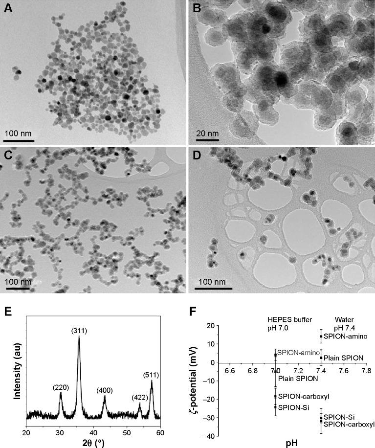 https://cdn.ncbi.nlm.nih.gov/pmc/blobs/c12c/4598216/11d555be10b7/ijn-10-6089Fig2.jpg