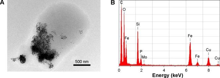 https://cdn.ncbi.nlm.nih.gov/pmc/blobs/c12c/4598216/94c7753daf6e/ijn-10-6089Fig3.jpg
