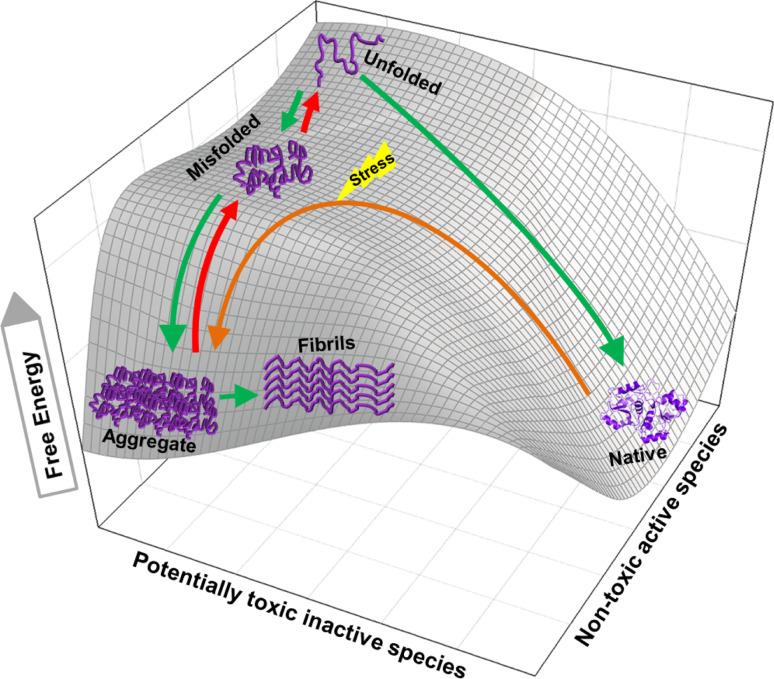 https://cdn.ncbi.nlm.nih.gov/pmc/blobs/c12f/11113105/27f226663c56/18_2014_1627_Fig2_HTML.jpg