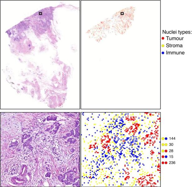https://cdn.ncbi.nlm.nih.gov/pmc/blobs/c130/10667537/c57cb095a1db/41416_2023_2451_Fig2_HTML.jpg