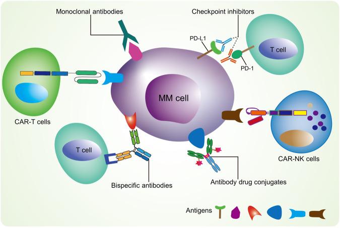 https://cdn.ncbi.nlm.nih.gov/pmc/blobs/c131/10821908/83862d12ee19/41420_2024_1818_Fig1_HTML.jpg