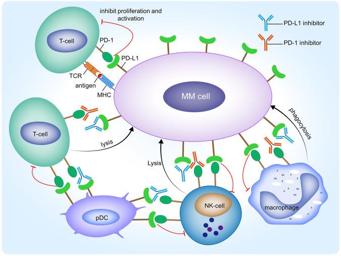 https://cdn.ncbi.nlm.nih.gov/pmc/blobs/c131/10821908/deefd822d553/41420_2024_1818_Fig3_HTML.jpg