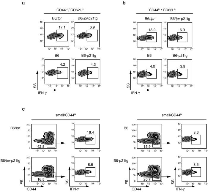 https://cdn.ncbi.nlm.nih.gov/pmc/blobs/c132/4287747/48d6fa305bda/srep07691-f3.jpg