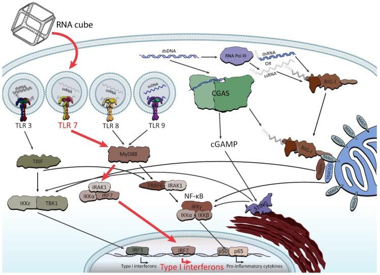 https://cdn.ncbi.nlm.nih.gov/pmc/blobs/c132/6523571/d313bac738e2/nanomaterials-09-00611-g005.jpg