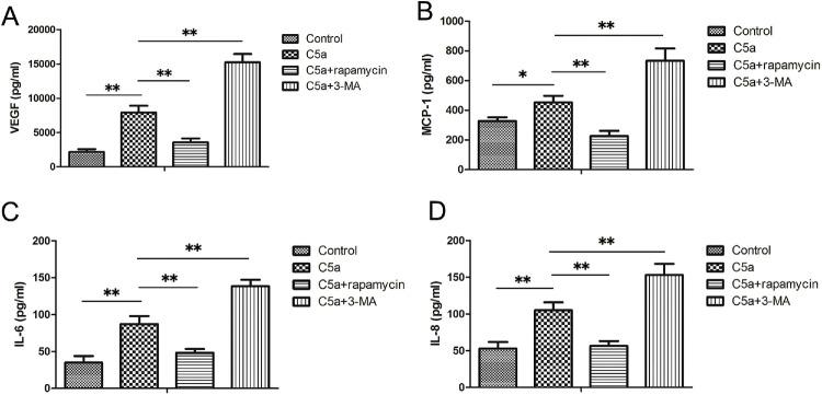 https://cdn.ncbi.nlm.nih.gov/pmc/blobs/c135/12273884/00b7e70490ab/iovs-66-9-44-f004.jpg