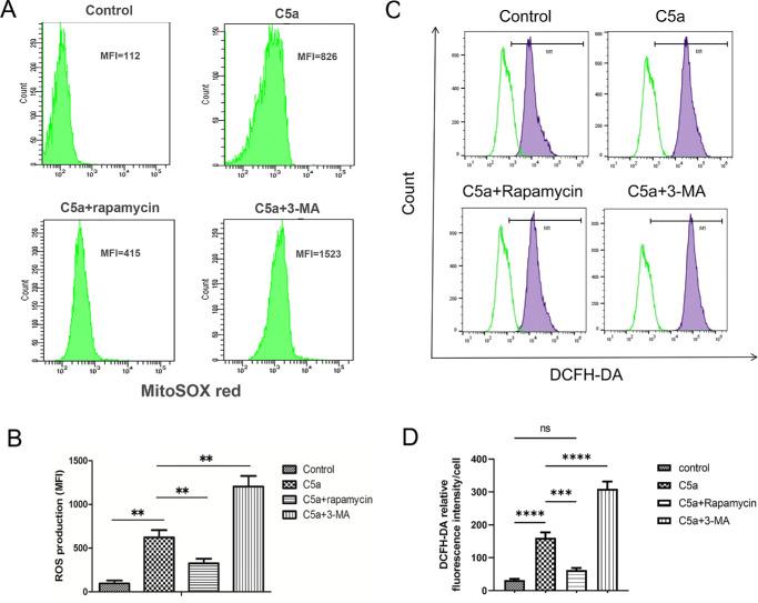 https://cdn.ncbi.nlm.nih.gov/pmc/blobs/c135/12273884/5b4da46dfa95/iovs-66-9-44-f003.jpg