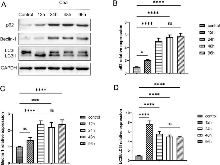 https://cdn.ncbi.nlm.nih.gov/pmc/blobs/c135/12273884/68666971fb2a/iovs-66-9-44-f001.jpg
