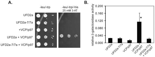 https://cdn.ncbi.nlm.nih.gov/pmc/blobs/c138/3235170/ec96895e06fa/pone.0028861.g007.jpg
