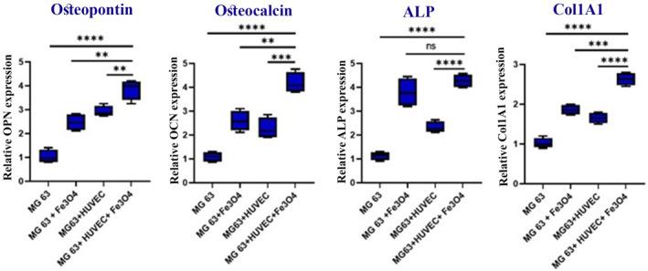https://cdn.ncbi.nlm.nih.gov/pmc/blobs/c13a/11366680/fe1eba571568/JCMM-28-e70040-g001.jpg