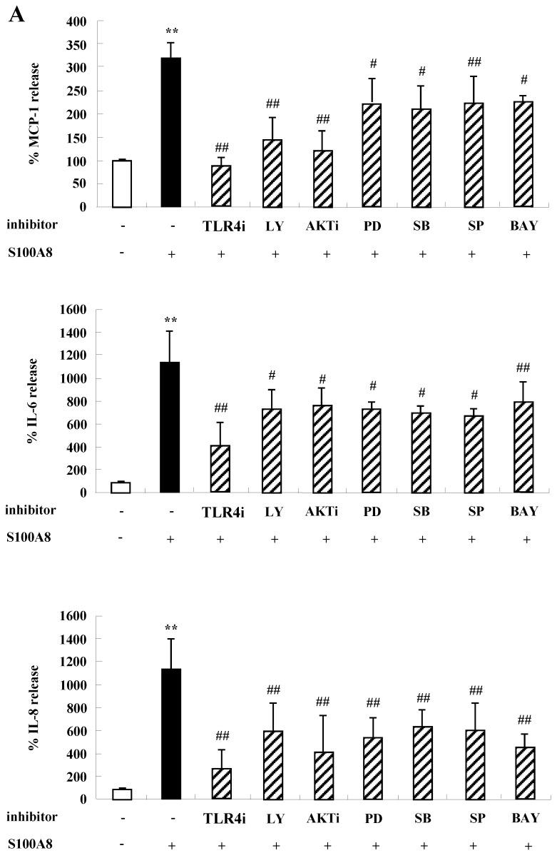 https://cdn.ncbi.nlm.nih.gov/pmc/blobs/c13b/7053304/35801adb3661/ijmsv17p0498g003.jpg