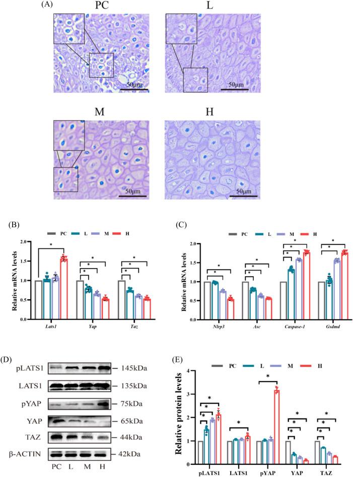 https://cdn.ncbi.nlm.nih.gov/pmc/blobs/c13e/12037795/5f7e1b9f89ad/41598_2025_98952_Fig3a_HTML.jpg