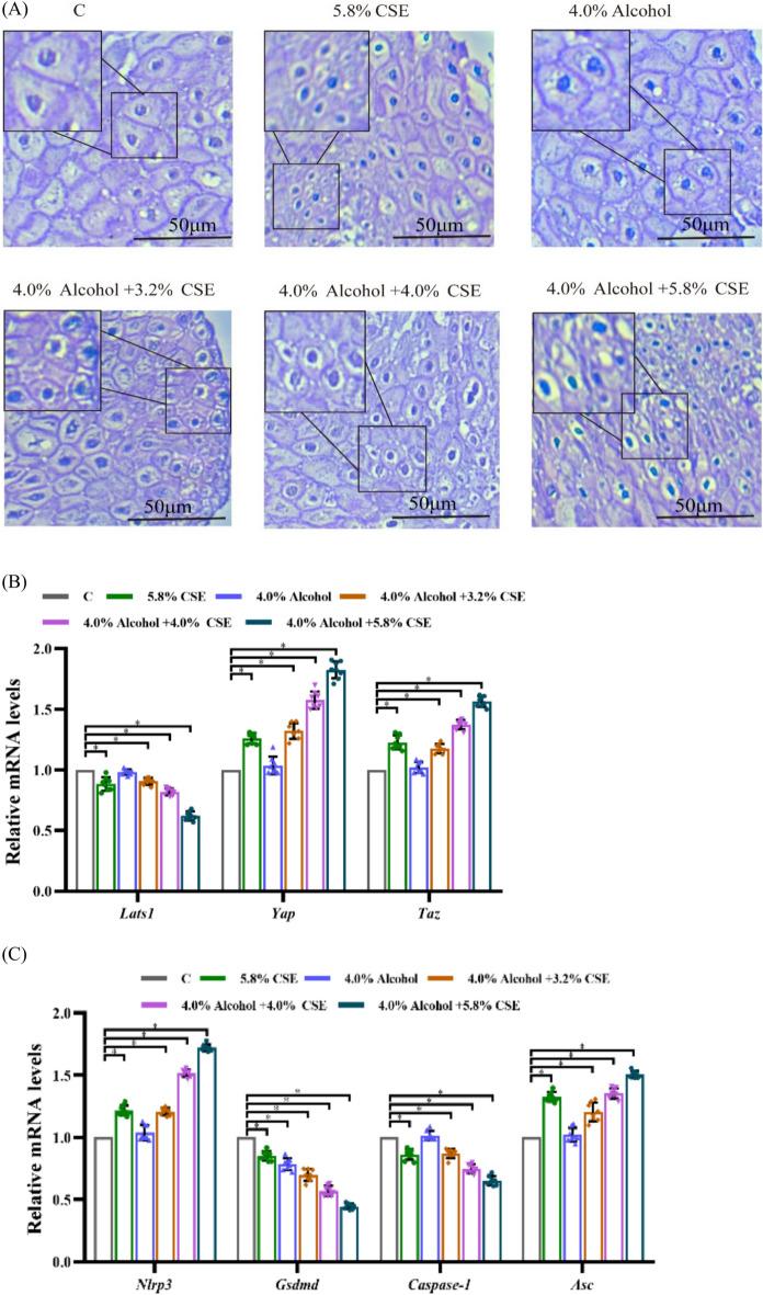 https://cdn.ncbi.nlm.nih.gov/pmc/blobs/c13e/12037795/860df2f6673e/41598_2025_98952_Fig2a_HTML.jpg