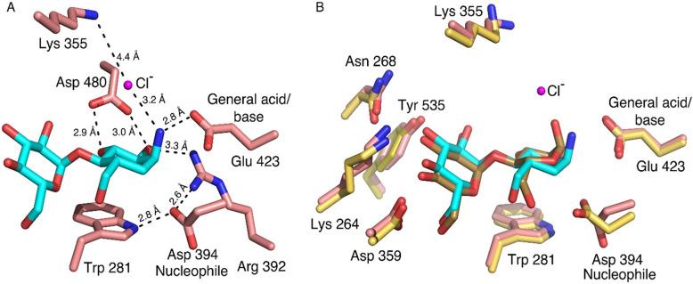 https://cdn.ncbi.nlm.nih.gov/pmc/blobs/c13e/8238978/2b64415667ba/41598_2021_92554_Fig5_HTML.jpg