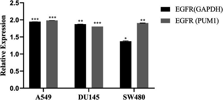 https://cdn.ncbi.nlm.nih.gov/pmc/blobs/c13f/11814073/021f1c8508a0/41598_2025_89143_Fig4_HTML.jpg