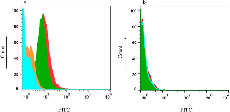 https://cdn.ncbi.nlm.nih.gov/pmc/blobs/c13f/11814073/33901cfe7172/41598_2025_89143_Fig5_HTML.jpg