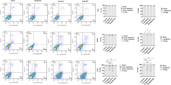 https://cdn.ncbi.nlm.nih.gov/pmc/blobs/c13f/11814073/55d357be9e57/41598_2025_89143_Fig11_HTML.jpg