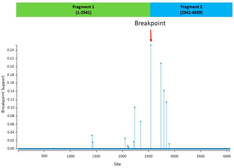 https://cdn.ncbi.nlm.nih.gov/pmc/blobs/c140/7290774/e04552f524aa/viruses-12-00502-g002.jpg