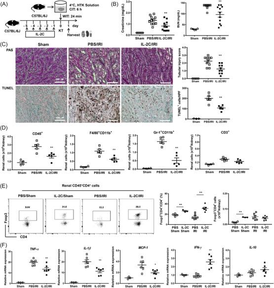 https://cdn.ncbi.nlm.nih.gov/pmc/blobs/c141/10951489/191ec0987ac7/CTM2-14-e1631-g001.jpg