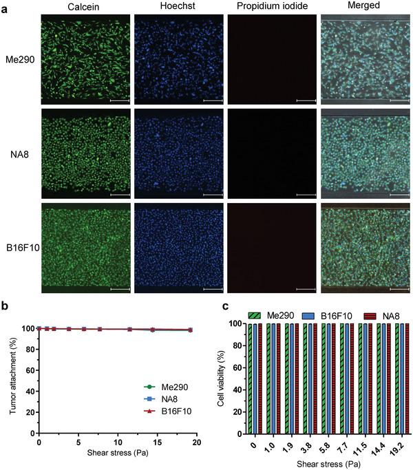 https://cdn.ncbi.nlm.nih.gov/pmc/blobs/c141/11468699/5cd15dfbef5d/ADHM-11-2200169-g006.jpg
