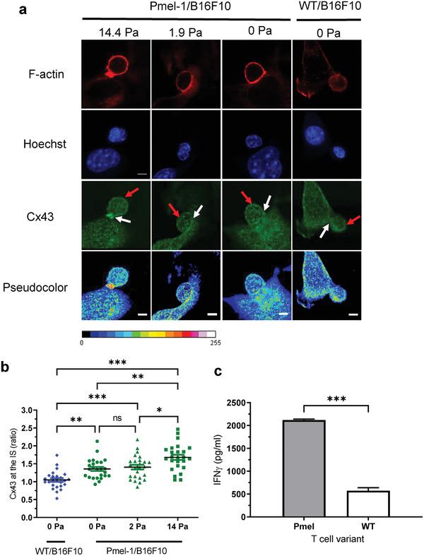 https://cdn.ncbi.nlm.nih.gov/pmc/blobs/c141/11468699/9a4ab31dbb88/ADHM-11-2200169-g001.jpg