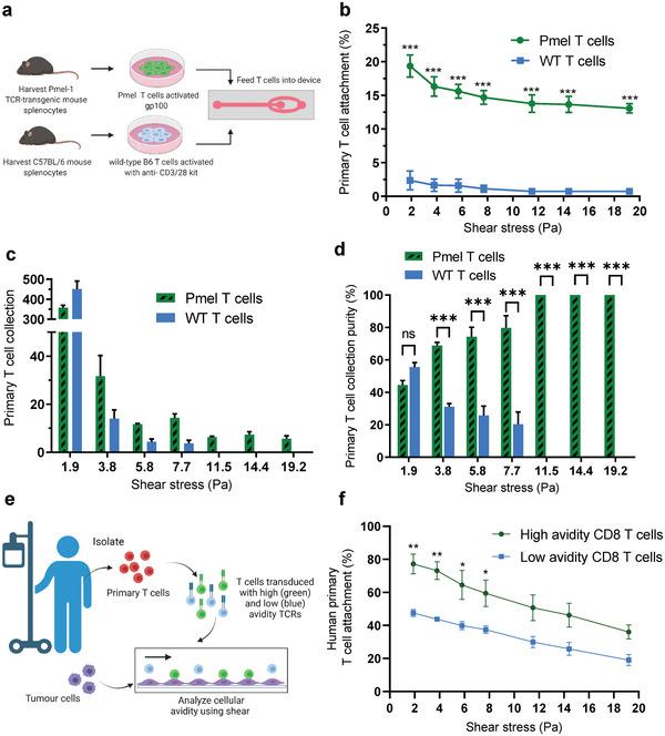https://cdn.ncbi.nlm.nih.gov/pmc/blobs/c141/11468699/9d741ce08d11/ADHM-11-2200169-g002.jpg