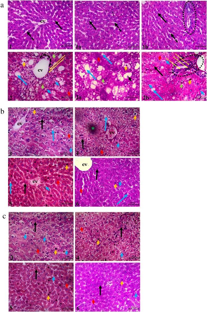 https://cdn.ncbi.nlm.nih.gov/pmc/blobs/c142/6514439/76658b248226/gr7.jpg