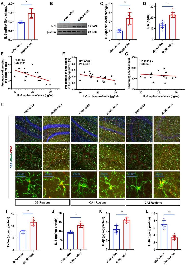 https://cdn.ncbi.nlm.nih.gov/pmc/blobs/c144/11785607/7a9730dc6e42/40618_2024_2430_Fig4_HTML.jpg