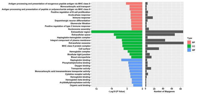 https://cdn.ncbi.nlm.nih.gov/pmc/blobs/c144/11785607/b3072dd0a658/40618_2024_2430_Fig3_HTML.jpg