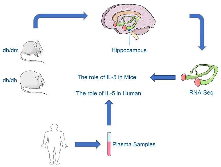 https://cdn.ncbi.nlm.nih.gov/pmc/blobs/c144/11785607/e6e0dfc31ac5/40618_2024_2430_Fig6_HTML.jpg